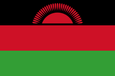 Image in question