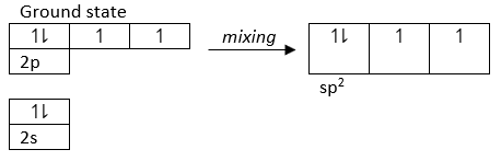 option D